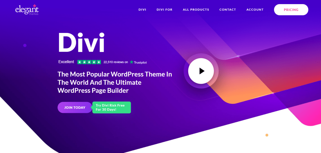 Divi Theme image