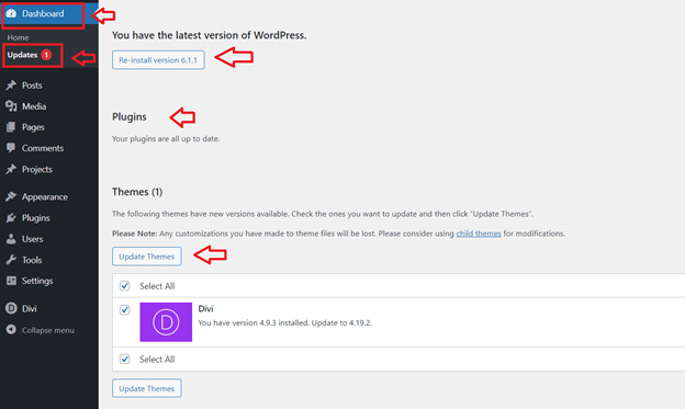 Update Plugins and Themes to fix Divi Theme issues